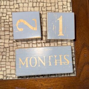 Boy or Girl Milestone Baby Decor Blocks